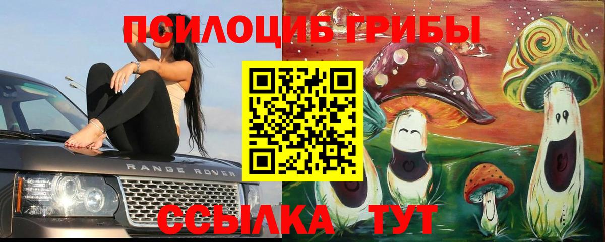 Кувандык  Псилоцибиновые грибы прущие грибы  Вход с VPN 